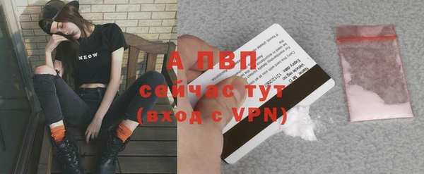 твердый Переславль-Залесский