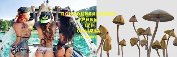 мяу мяу кристалл Пестово